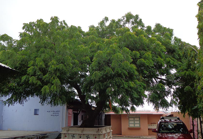 Loyadham Campus